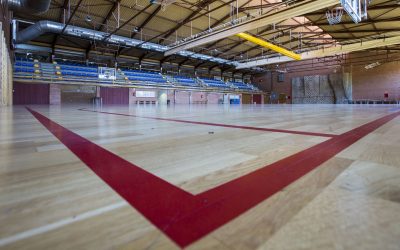 …hasta todo un polideportivo