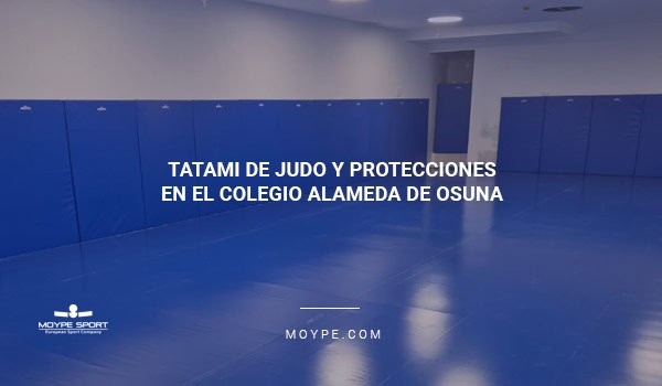 Tatami de judo para el colegio Alameda de Osuna - MOYPE
